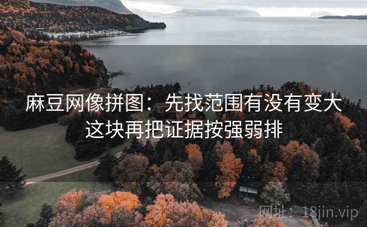 麻豆网像拼图:先找范围有没有变大这块再把证据按强弱排 麻豆网像拼图:先找范围有没有变大这块再把证据按强弱排